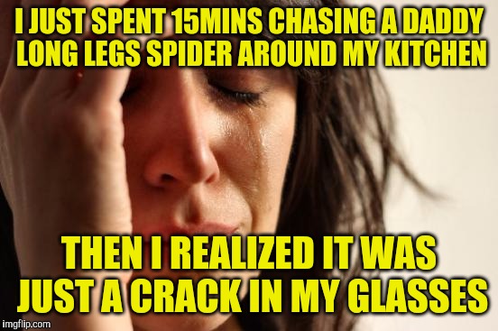 First World Problems | I JUST SPENT 15MINS CHASING A DADDY LONG LEGS SPIDER AROUND MY KITCHEN; THEN I REALIZED IT WAS JUST A CRACK IN MY GLASSES | image tagged in memes,first world problems | made w/ Imgflip meme maker