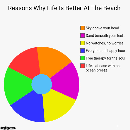 . | image tagged in pie charts,beach,day at the beach | made w/ Imgflip meme maker
