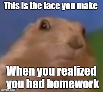 homework | This is the face you make; When you realized you had homework | image tagged in suprised chipmunk | made w/ Imgflip meme maker