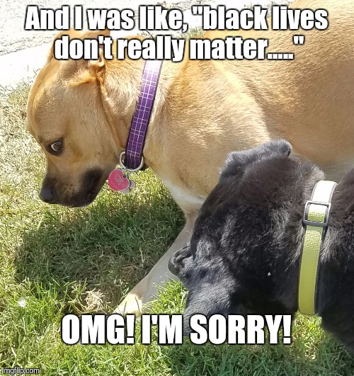 And I was like, "black lives don't really matter....."; OMG! I'M SORRY! | image tagged in cray cray dog,funny,animals,wtf,crazy | made w/ Imgflip meme maker