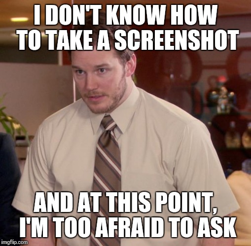When someone doesn't know how to use the Print Screen function | I DON'T KNOW HOW TO TAKE A SCREENSHOT; AND AT THIS POINT, I'M TOO AFRAID TO ASK | image tagged in memes,afraid to ask andy | made w/ Imgflip meme maker