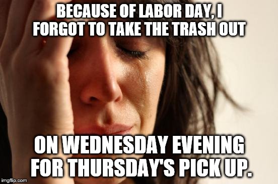 Trash forgetfulness | BECAUSE OF LABOR DAY, I FORGOT TO TAKE THE TRASH OUT; ON WEDNESDAY EVENING FOR THURSDAY'S PICK UP. | image tagged in memes,first world problems | made w/ Imgflip meme maker