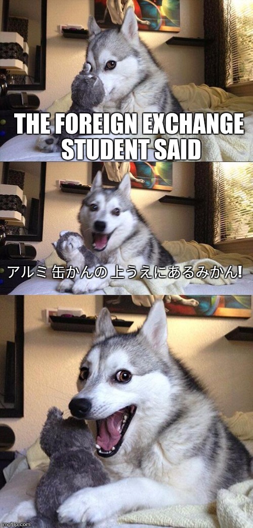 I don't speak Japanese lol (if you can read this, props to you! if you used google translate, props to you!) | THE FOREIGN EXCHANGE STUDENT SAID; アルミ 缶かんの 上うえにあるみかん! | image tagged in japanese,meme,2016,bad pun dog,pun,foreign | made w/ Imgflip meme maker