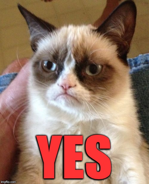 Grumpy Cat Meme | YES | image tagged in memes,grumpy cat | made w/ Imgflip meme maker