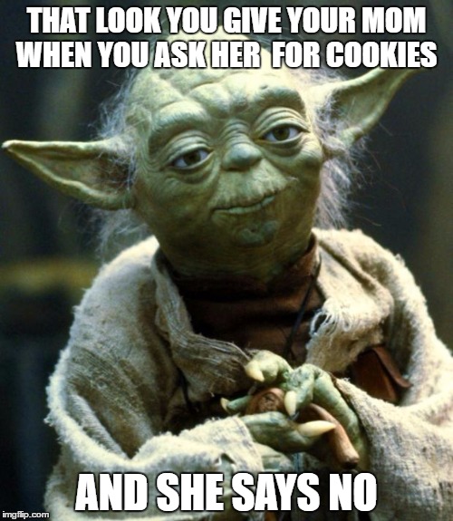 Star Wars Yoda | THAT LOOK YOU GIVE YOUR MOM WHEN YOU ASK HER  FOR COOKIES; AND SHE SAYS NO | image tagged in memes,star wars yoda | made w/ Imgflip meme maker