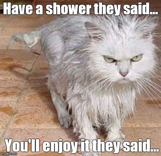 Have a shower they said... You'll enjoy it they said... | made w/ Imgflip meme maker