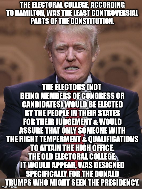 Donald Trump | THE ELECTORAL COLLEGE, ACCORDING TO HAMILTON, WAS THE LEAST CONTROVERSIAL PARTS OF THE CONSTITUTION. THE ELECTORS (NOT BEING MEMBERS OF CONGRESS OR CANDIDATES) WOULD BE ELECTED BY THE PEOPLE IN THEIR STATES FOR THEIR JUDGEMENT & WOULD ASSURE THAT ONLY SOMEONE WITH THE RIGHT TEMPERMENT & QUALIFICATIONS TO ATTAIN THE HIGH OFFICE. THE OLD ELECTORAL COLLEGE, IT WOULD APPEAR, WAS DESIGNED SPECIFICALLY FOR THE DONALD TRUMPS WHO MIGHT SEEK THE PRESIDENCY. | image tagged in donald trump | made w/ Imgflip meme maker
