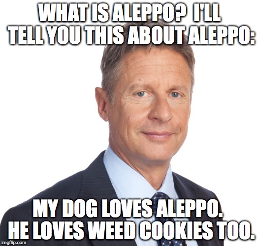 Gary Johnson | WHAT IS ALEPPO?  I'LL TELL YOU THIS ABOUT ALEPPO:; MY DOG LOVES ALEPPO.  HE LOVES WEED COOKIES TOO. | image tagged in gary johnson | made w/ Imgflip meme maker