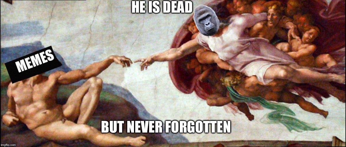 HE IS DEAD; BUT NEVER FORGOTTEN | image tagged in harambe is dead but not forgotten | made w/ Imgflip meme maker