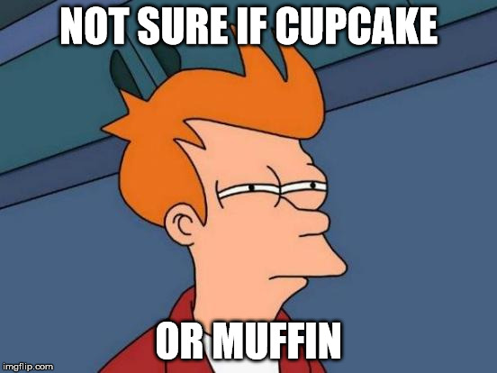 Futurama Fry | NOT SURE IF CUPCAKE; OR MUFFIN | image tagged in memes,futurama fry | made w/ Imgflip meme maker