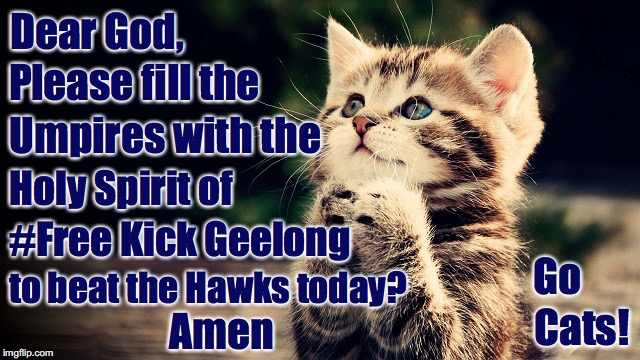 Kitten Praying for #FreeKickGeelongCats To Defeat Hawthorn | Dear God, Please fill the; Umpires with the; Holy Spirit of; #Free Kick Geelong; Go; to beat the Hawks today? Cats! Amen | image tagged in geelong cats,freekickgeelong,memes,cats,afl | made w/ Imgflip meme maker