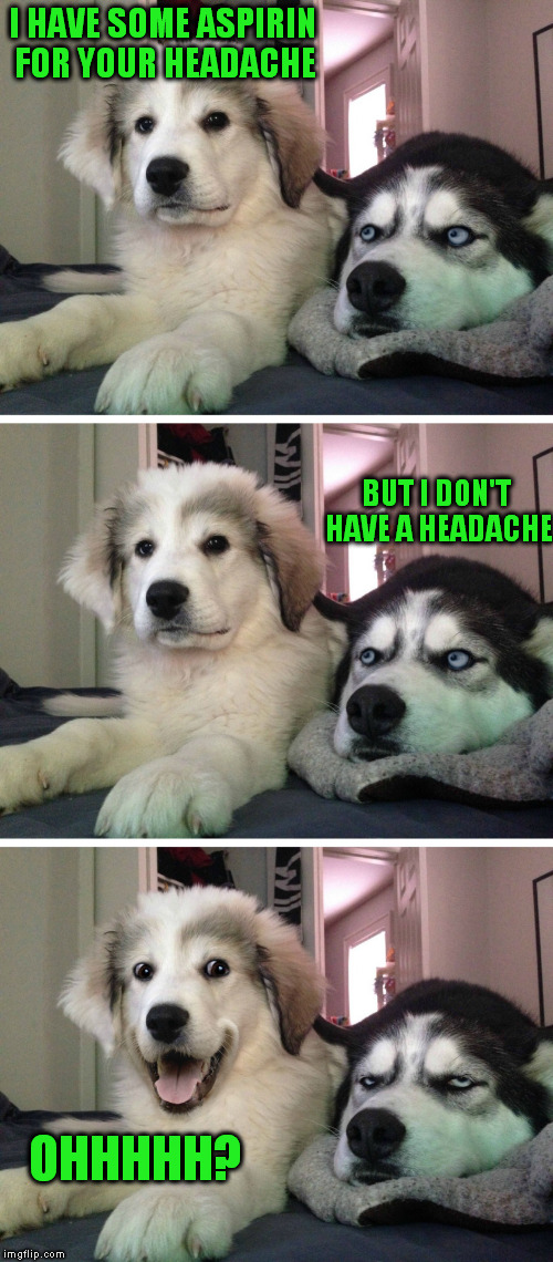 Bad pun dogs | I HAVE SOME ASPIRIN FOR YOUR HEADACHE; BUT I DON'T HAVE A HEADACHE; OHHHHH? | image tagged in bad pun dogs | made w/ Imgflip meme maker