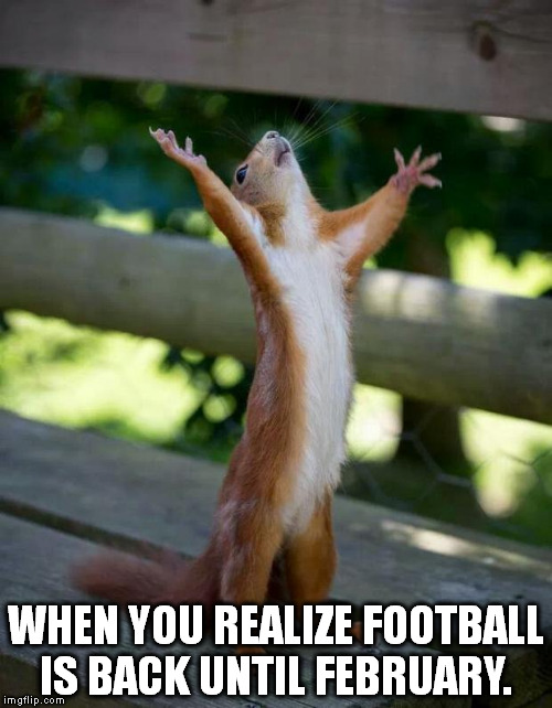 Happy Squirrel | WHEN YOU REALIZE FOOTBALL IS BACK UNTIL FEBRUARY. | image tagged in happy squirrel | made w/ Imgflip meme maker