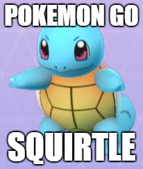 Squirtle Close up | POKEMON GO; SQUIRTLE | image tagged in dumb,funny | made w/ Imgflip meme maker