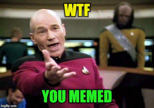 Picard Wtf Meme | WTF YOU MEMED | image tagged in memes,picard wtf | made w/ Imgflip meme maker