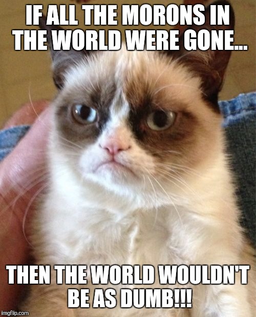 Grumpy Cat | IF ALL THE MORONS IN THE WORLD WERE GONE... THEN THE WORLD WOULDN'T BE AS DUMB!!! | image tagged in memes,grumpy cat | made w/ Imgflip meme maker