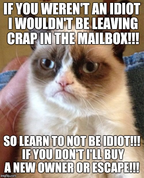 Grumpy Cat Meme | IF YOU WEREN'T AN IDIOT I WOULDN'T BE LEAVING CRAP IN THE MAILBOX!!! SO LEARN TO NOT BE IDIOT!!! IF YOU DON'T I'LL BUY A NEW OWNER OR ESCAPE!!! | image tagged in memes,grumpy cat | made w/ Imgflip meme maker