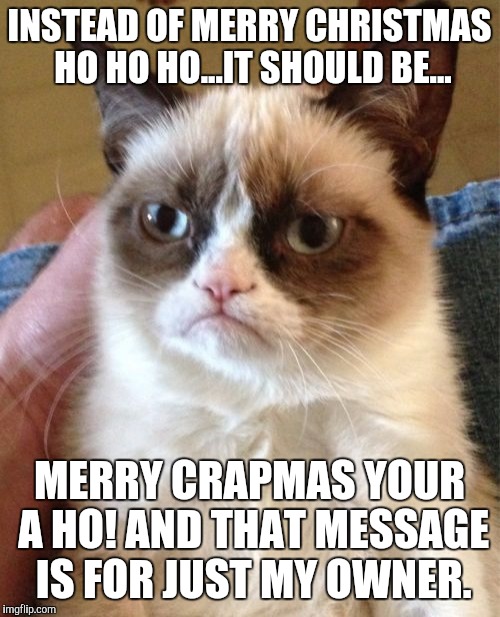 Grumpy Cat | INSTEAD OF MERRY CHRISTMAS HO HO HO...IT SHOULD BE... MERRY CRAPMAS YOUR A HO! AND THAT MESSAGE IS FOR JUST MY OWNER. | image tagged in memes,grumpy cat | made w/ Imgflip meme maker