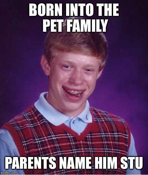 Jumping on the Stupet bandwagon... | BORN INTO THE PET FAMILY; PARENTS NAME HIM STU | image tagged in memes,bad luck brian | made w/ Imgflip meme maker
