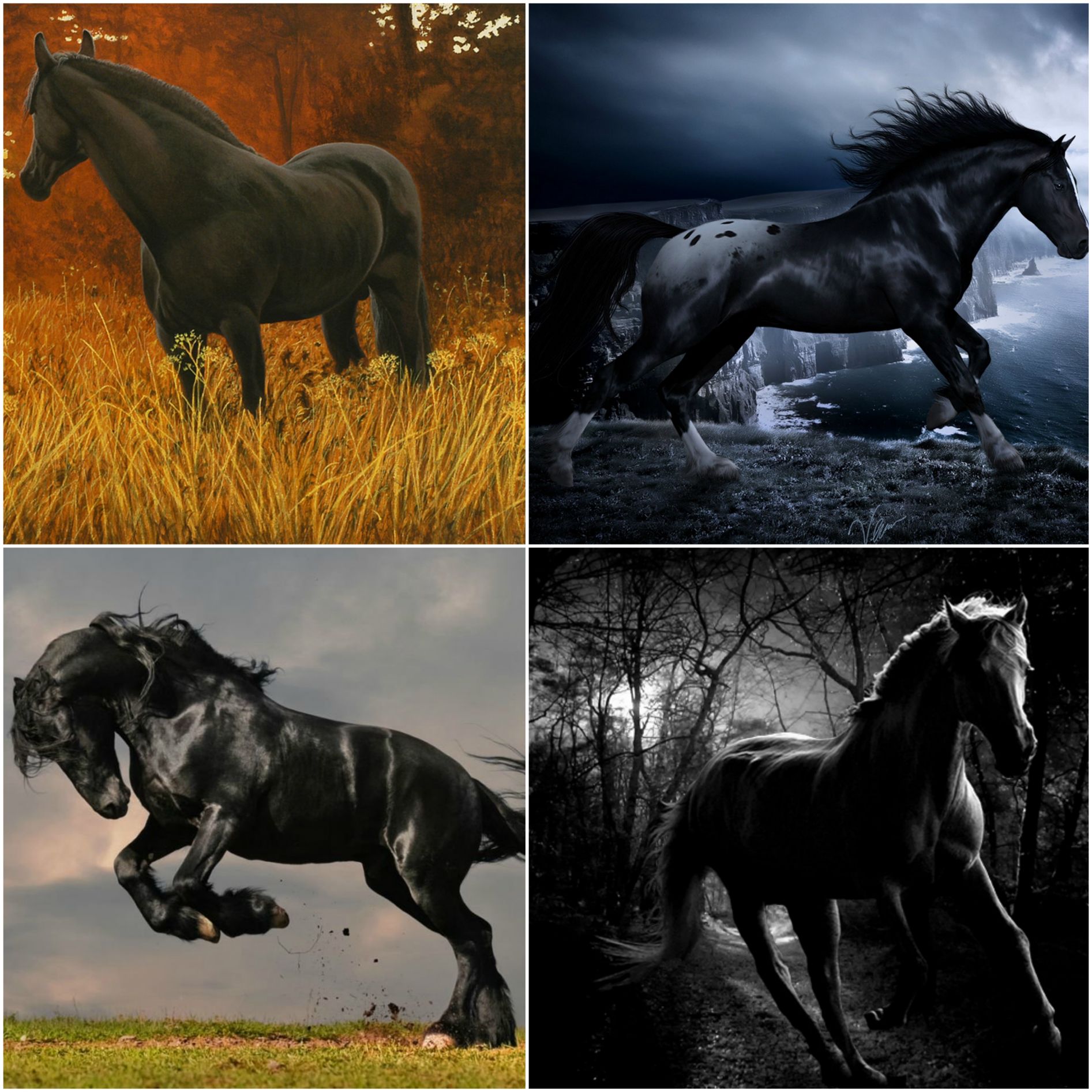 4 pictures of Dark Horses Blank Meme Template