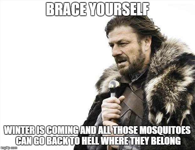 Brace Yourselves X is Coming | BRACE YOURSELF; WINTER IS COMING AND ALL THOSE MOSQUITOES CAN GO BACK TO HELL WHERE THEY BELONG | image tagged in memes,brace yourselves x is coming | made w/ Imgflip meme maker