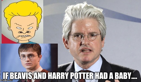 Beavis Potter | IF BEAVIS AND HARRY POTTER HAD A BABY.... | image tagged in beavis potter,memes | made w/ Imgflip meme maker
