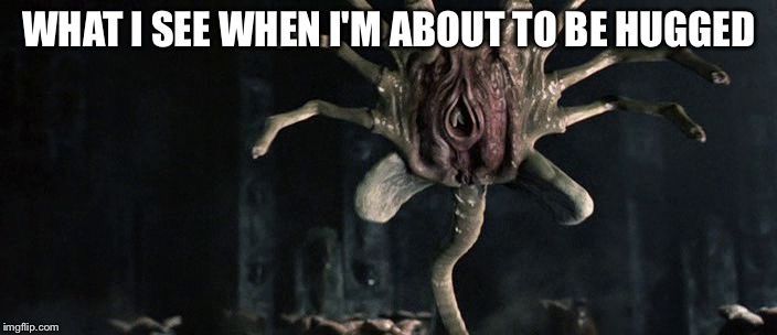 WHAT I SEE WHEN I'M ABOUT TO BE HUGGED | image tagged in face hugger | made w/ Imgflip meme maker