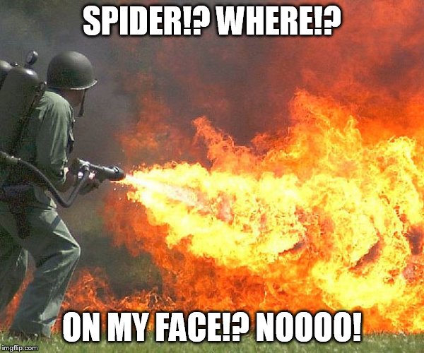 Flamethrower | SPIDER!? WHERE!? ON MY FACE!? NOOOO! | image tagged in flamethrower | made w/ Imgflip meme maker