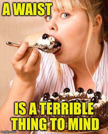 A waist is a terrible thing to mind | A WAIST; IS A TERRIBLE THING TO MIND | image tagged in fat cake,memes,punny | made w/ Imgflip meme maker