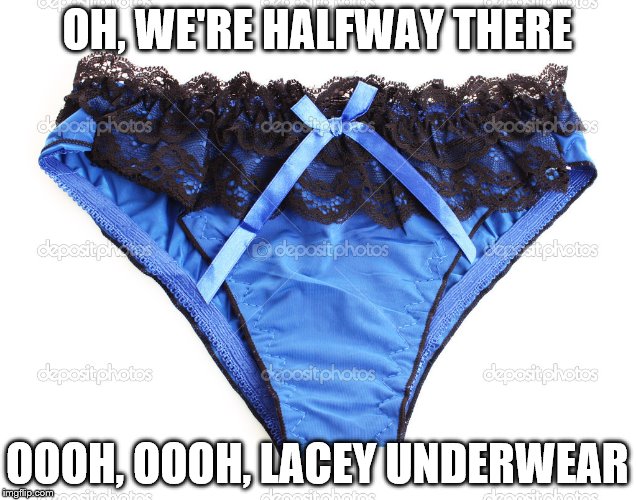 living on a prayer meme | OH, WE'RE HALFWAY THERE; OOOH, OOOH, LACEY UNDERWEAR | image tagged in funny | made w/ Imgflip meme maker