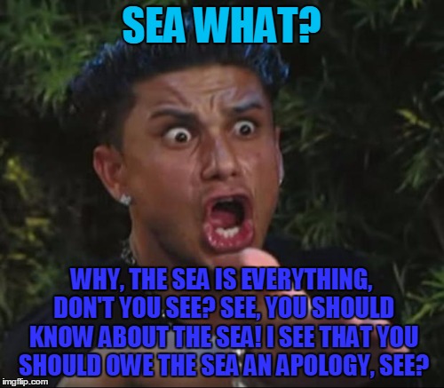SEA WHAT? WHY, THE SEA IS EVERYTHING, DON'T YOU SEE? SEE, YOU SHOULD KNOW ABOUT THE SEA! I SEE THAT YOU SHOULD OWE THE SEA AN APOLOGY, SEE? | made w/ Imgflip meme maker