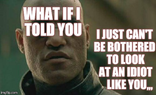 Matrix Morpheus | WHAT IF I          TOLD YOU; I JUST CAN'T       BE BOTHERED         TO LOOK         AT AN IDIOT            LIKE YOU,,, | image tagged in memes,matrix morpheus | made w/ Imgflip meme maker