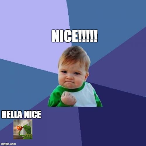 Success Kid Meme | NICE!!!!! HELLA NICE | image tagged in memes,success kid | made w/ Imgflip meme maker