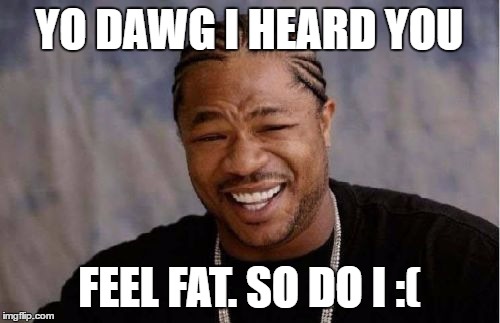 Yo Dawg Heard You | YO DAWG I HEARD YOU; FEEL FAT. SO DO I :( | image tagged in memes,yo dawg heard you | made w/ Imgflip meme maker