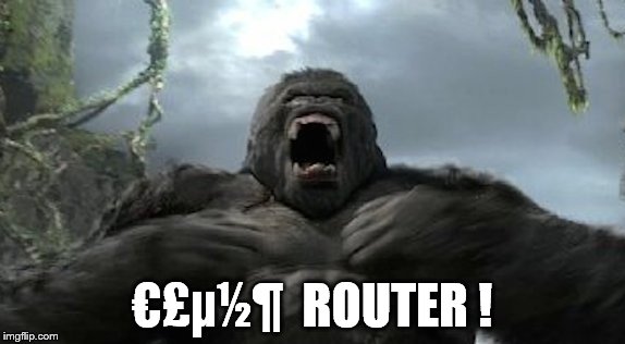 Kong furious | €£µ½¶  ROUTER ! | image tagged in kong furious | made w/ Imgflip meme maker