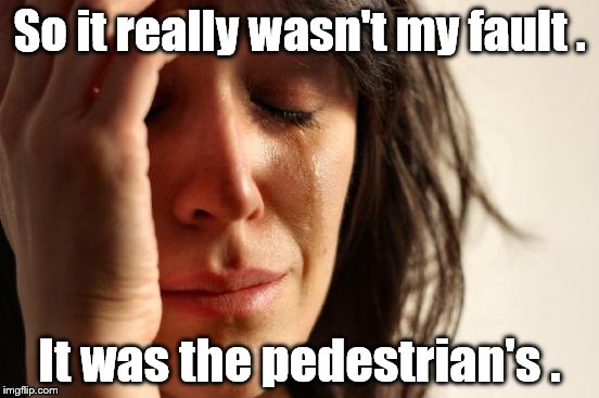 First World Problems Meme | So it really wasn't my fault . It was the pedestrian's . | image tagged in memes,first world problems | made w/ Imgflip meme maker