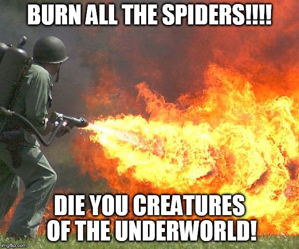 Flamethrower | BURN ALL THE SPIDERS!!!! DIE YOU CREATURES OF THE UNDERWORLD! | image tagged in flamethrower | made w/ Imgflip meme maker