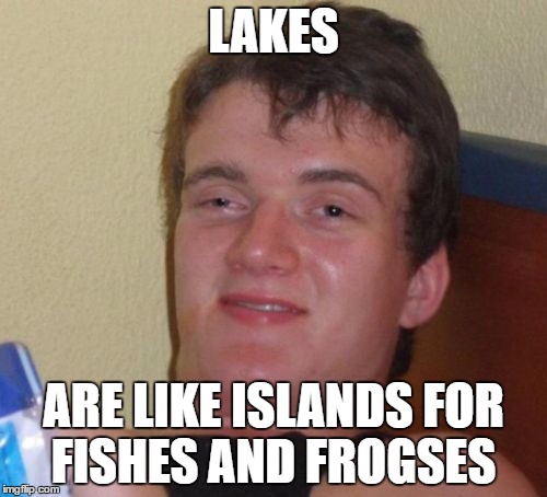 10 Guy | LAKES; ARE LIKE ISLANDS FOR FISHES AND FROGSES | image tagged in memes,10 guy,island,lake,fish | made w/ Imgflip meme maker