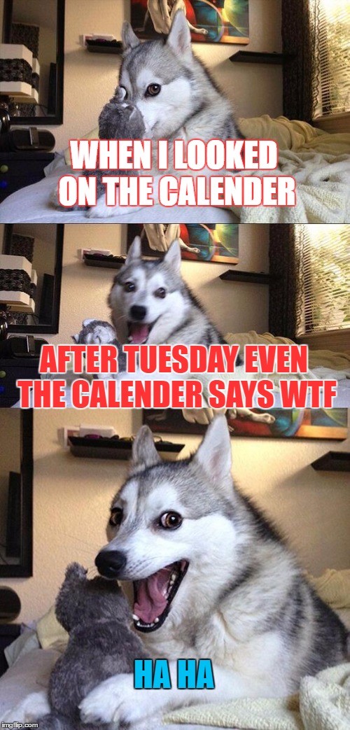 Bad Pun Dog | WHEN I LOOKED ON THE CALENDER; AFTER TUESDAY EVEN THE CALENDER SAYS WTF; HA HA | image tagged in memes,bad pun dog | made w/ Imgflip meme maker