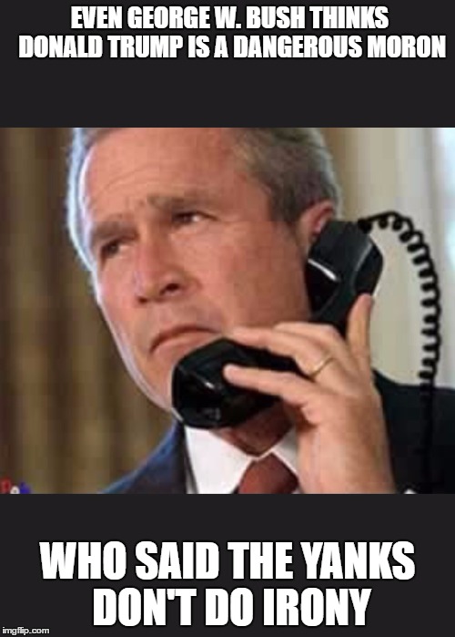 Hello George bush  | EVEN GEORGE W. BUSH THINKS DONALD TRUMP IS A DANGEROUS MORON; WHO SAID THE YANKS DON'T DO IRONY | image tagged in hello george bush | made w/ Imgflip meme maker