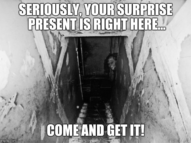 Dungeon | SERIOUSLY, YOUR SURPRISE PRESENT IS RIGHT HERE... COME AND GET IT! | image tagged in dungeon | made w/ Imgflip meme maker