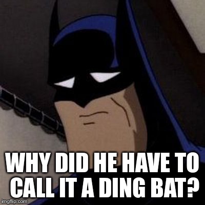 Sad Batman | WHY DID HE HAVE TO CALL IT A DING BAT? | image tagged in sad batman | made w/ Imgflip meme maker