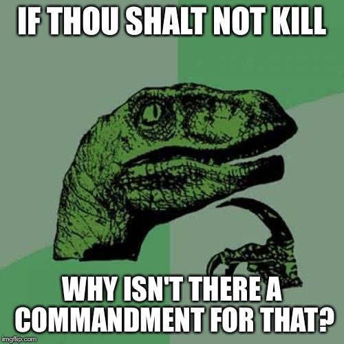 Philosoraptor | IF THOU SHALT NOT KILL; WHY ISN'T THERE A COMMANDMENT FOR THAT? | image tagged in memes,philosoraptor | made w/ Imgflip meme maker