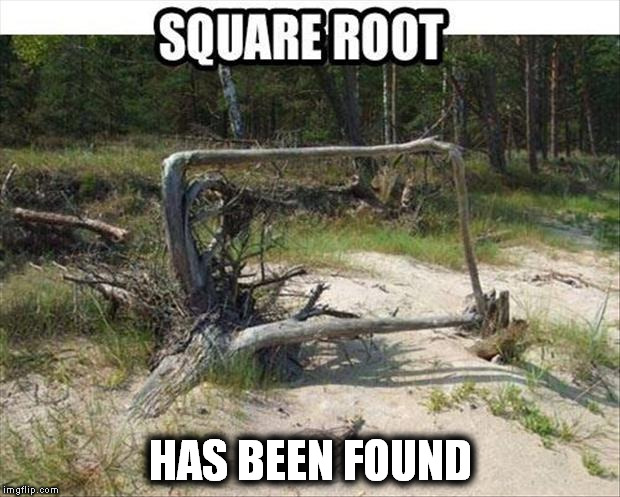 HAS BEEN FOUND | made w/ Imgflip meme maker