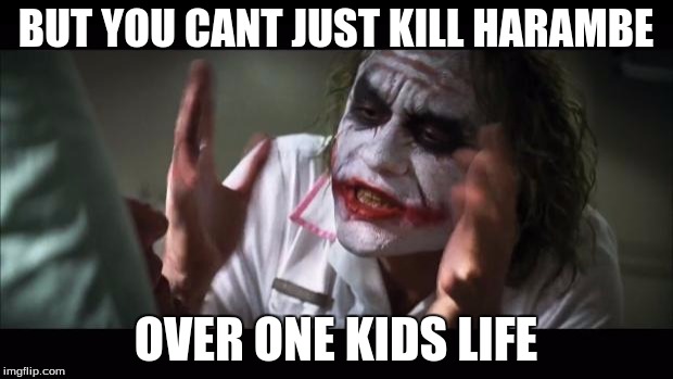 And everybody loses their minds Meme | BUT YOU CANT JUST KILL HARAMBE; OVER ONE KIDS LIFE | image tagged in memes,and everybody loses their minds | made w/ Imgflip meme maker