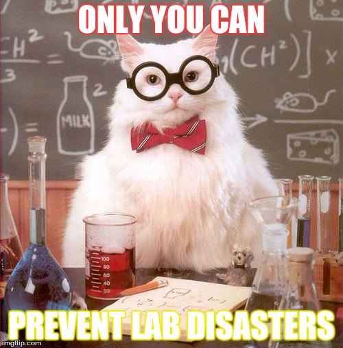 lab safety meme | ONLY YOU CAN; PREVENT LAB DISASTERS | image tagged in science cat | made w/ Imgflip meme maker