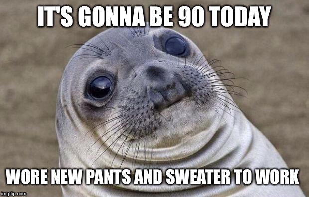 Being a fashionista sometimes you have to sweat it out to look this good | IT'S GONNA BE 90 TODAY; WORE NEW PANTS AND SWEATER TO WORK | image tagged in memes,awkward moment sealion | made w/ Imgflip meme maker