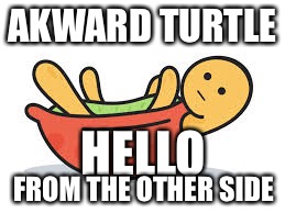 AKWARD TURTLE; HELLO; FROM THE OTHER SIDE | image tagged in awkward turtle | made w/ Imgflip meme maker