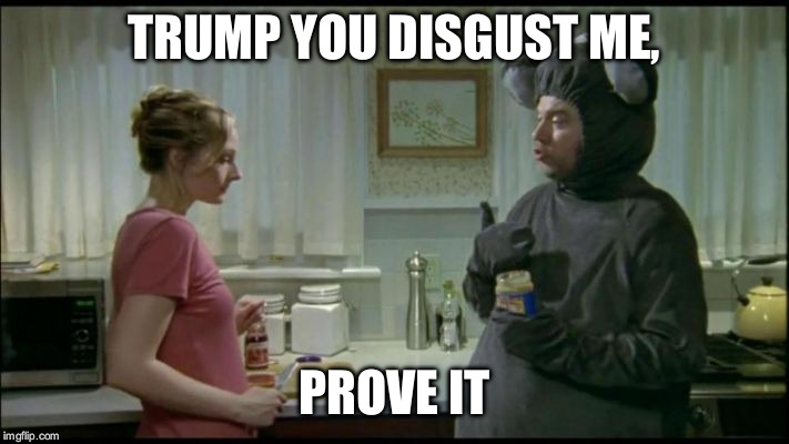 TRUMP YOU DISGUST ME, PROVE IT | image tagged in trump,rats,pests | made w/ Imgflip meme maker