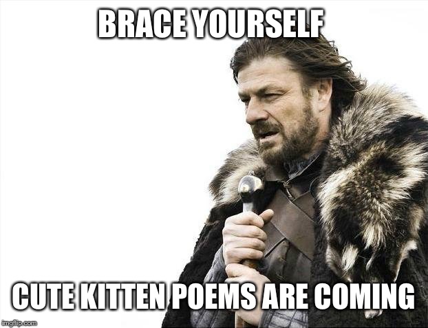 Brace Yourselves X is Coming Meme | BRACE YOURSELF CUTE KITTEN POEMS ARE COMING | image tagged in memes,brace yourselves x is coming | made w/ Imgflip meme maker